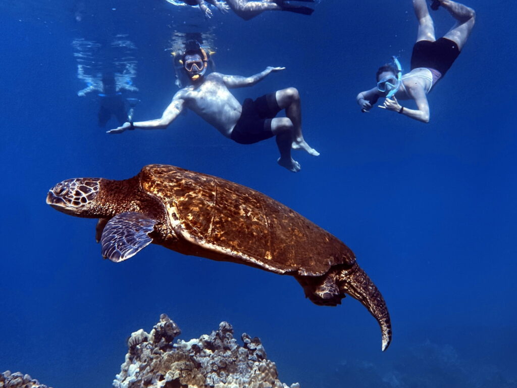 Makena Image 124