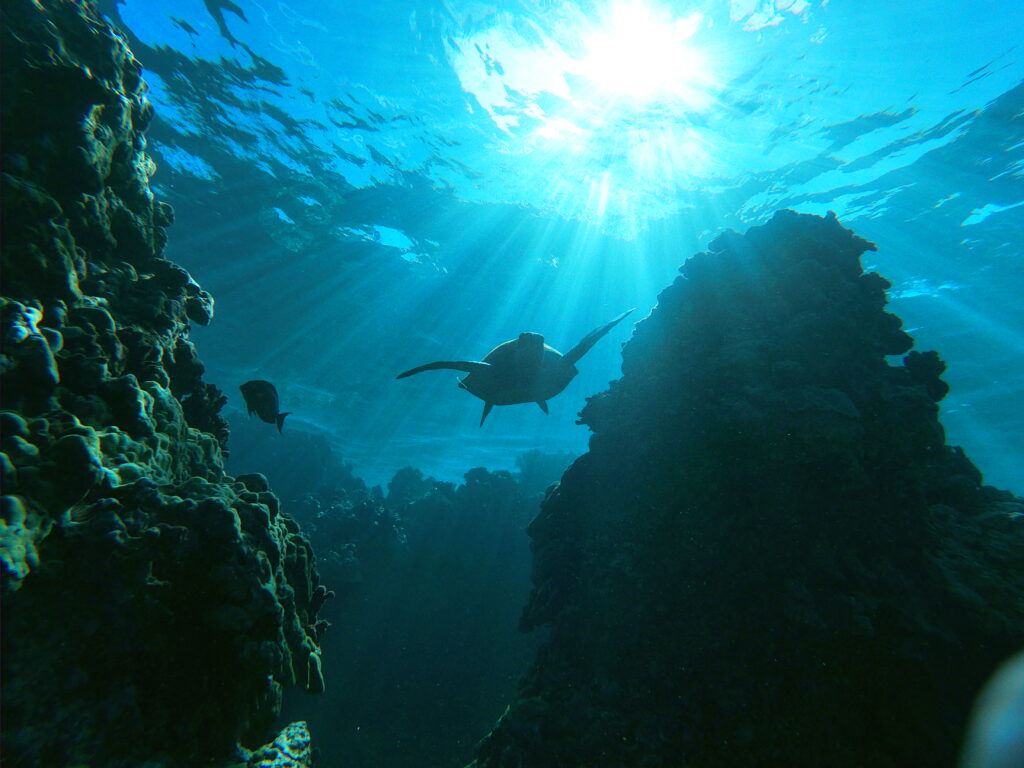T/sdcard/dcim/100gopro/gopr0215
