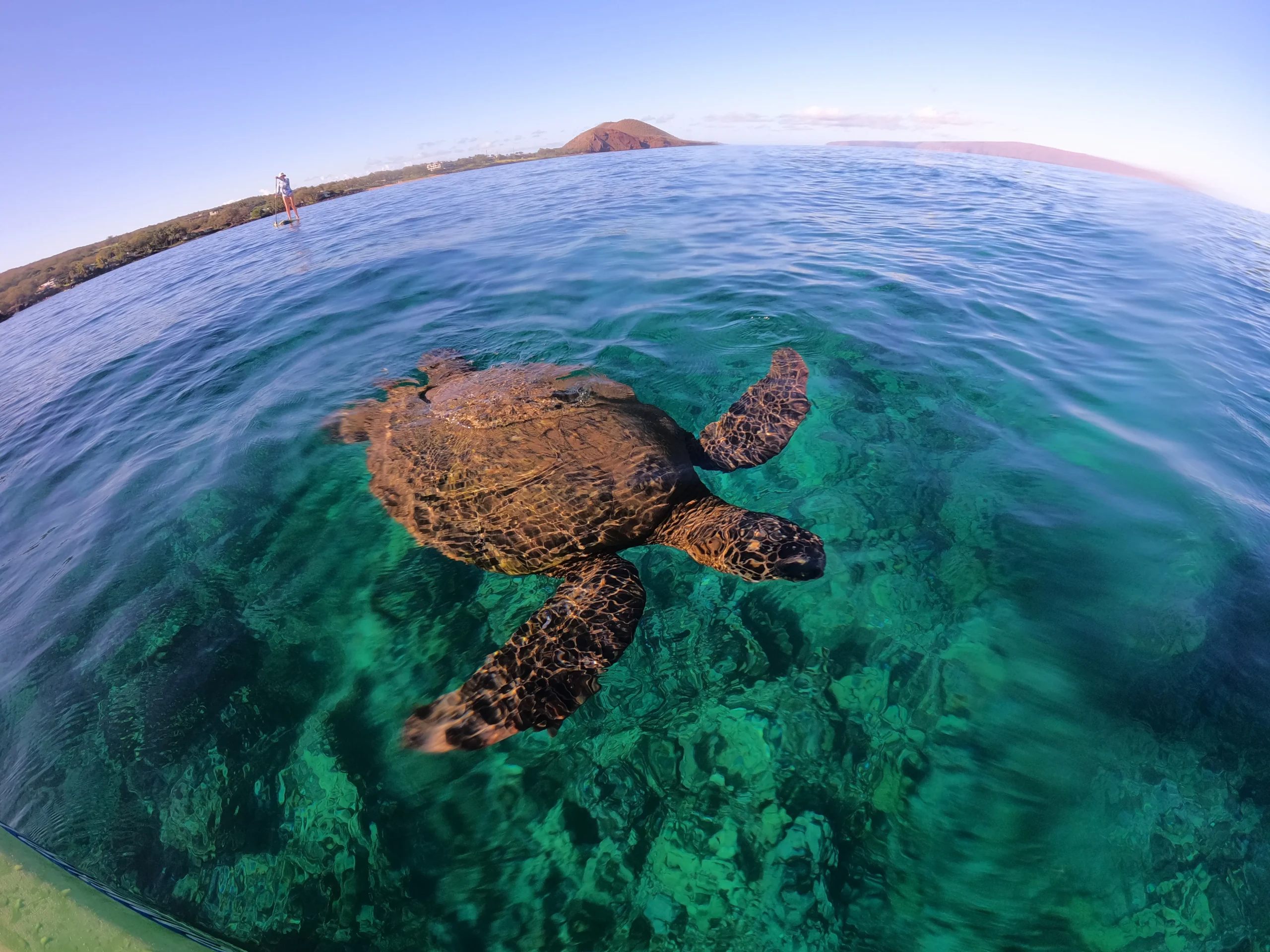 Makena Image 98