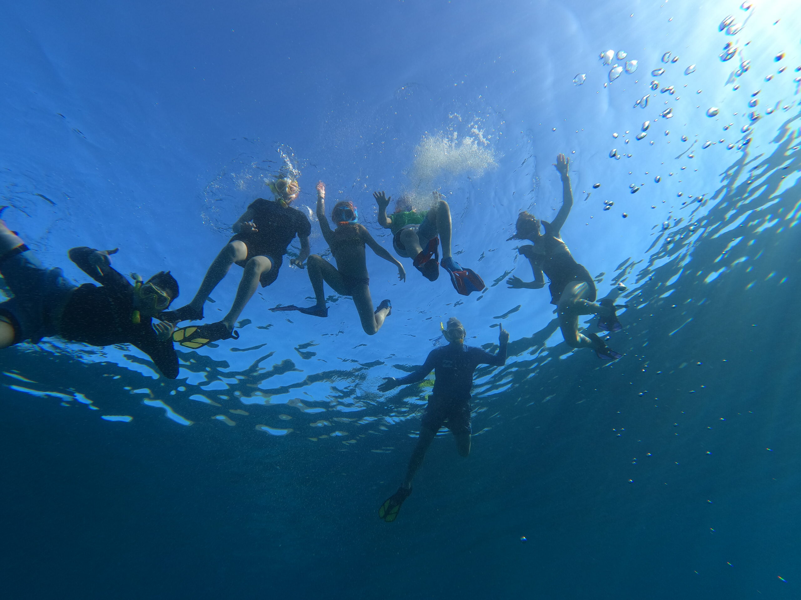 Dcim100goprogopr1403.jpg