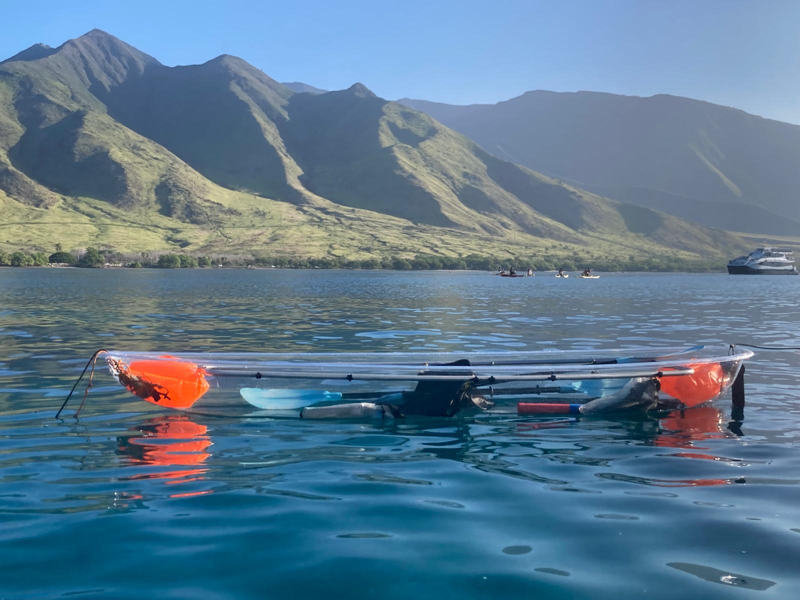 Olowalu Image 47