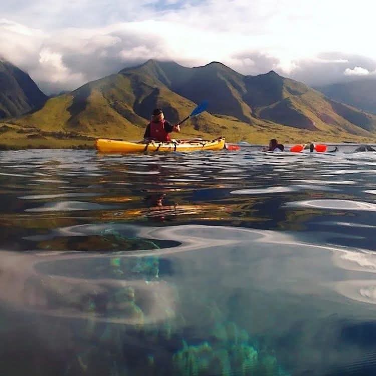 Olowalu Image 53