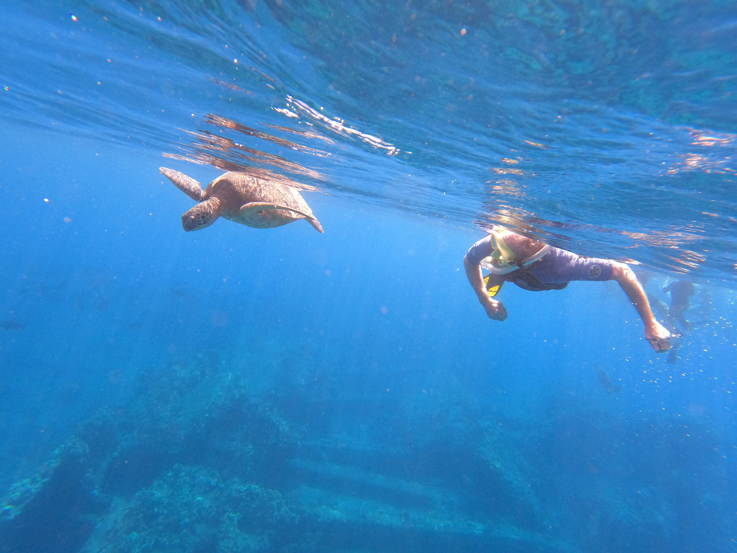 Dcim100goprogopr0391.jpg
