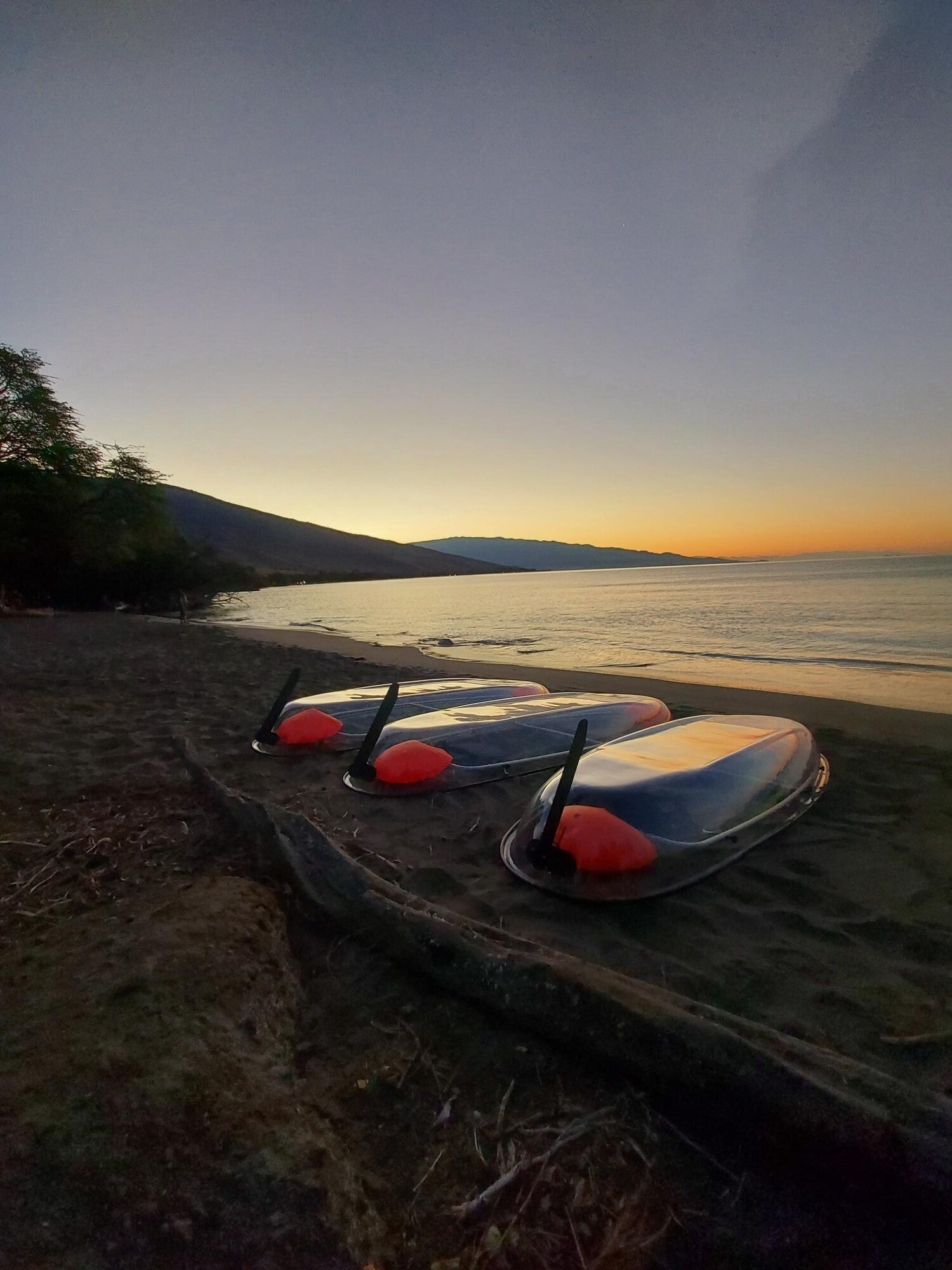 Olowalu Image 73
